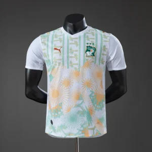 Maillot Côte d'Ivoire Coupe Du Monde 2026 Extérieur Version Joueur