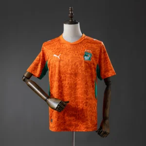 Maillot Côte d'Ivoire Coupe Du Monde 2026 Domicile Version Joueur